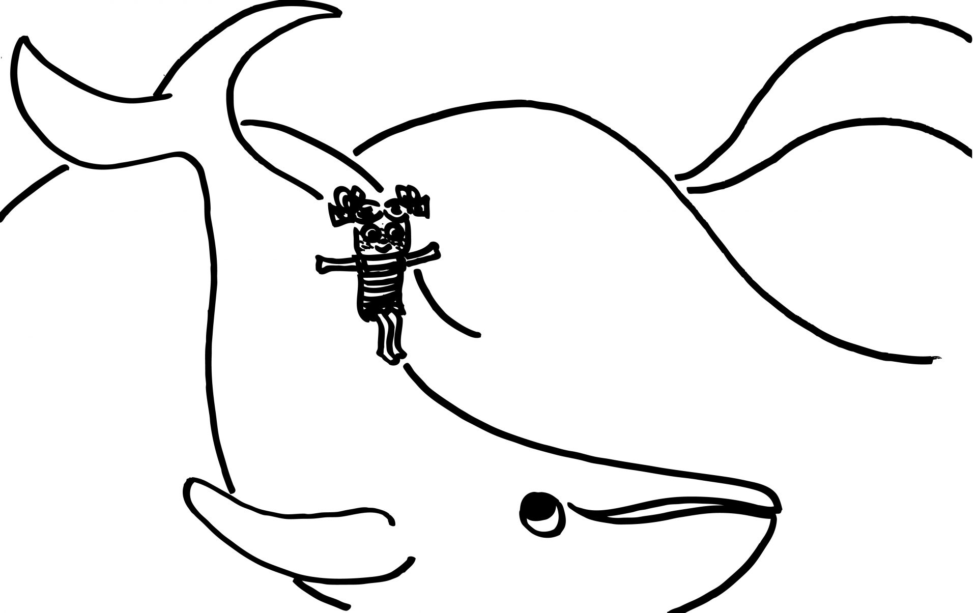 gallery_whale
